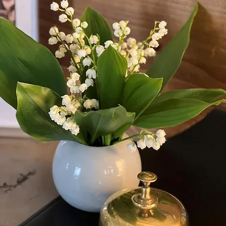 Hotel Coeur Des Neiges Saint-Gervais-les-Bains