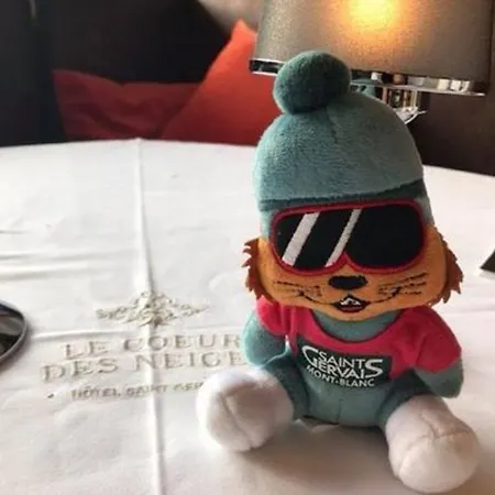 Hotel Coeur Des Neiges 3*