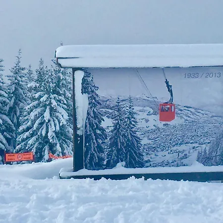 Coeur Des Neiges