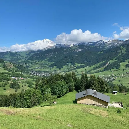 Coeur Des Neiges