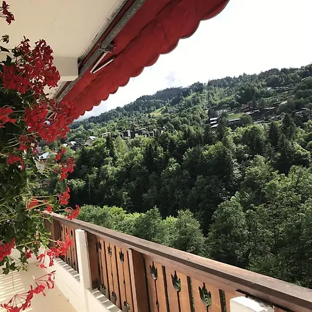 Coeur Des Neiges Hotel